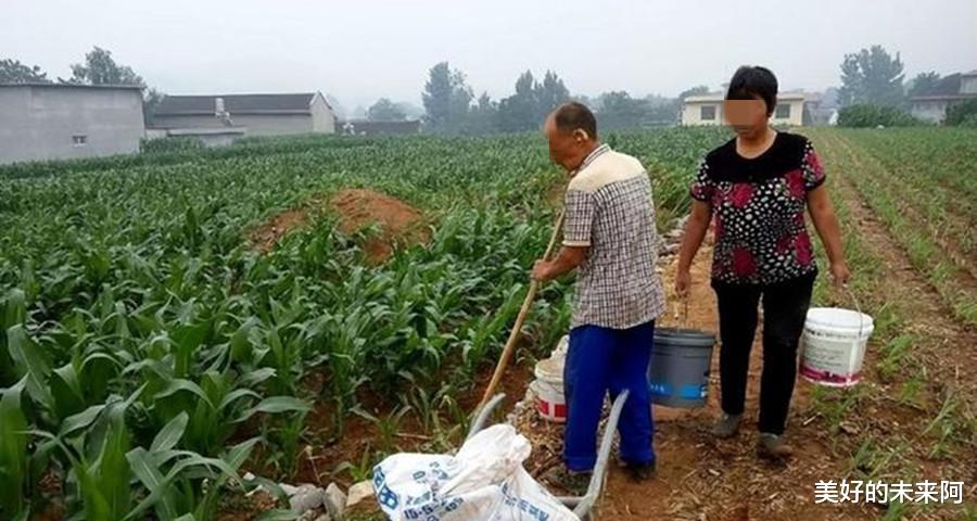 案例:男大学生为钱接受富婆包养,因对方不良嗜好裸死出租屋