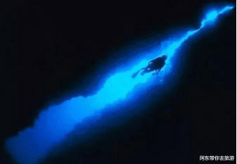 这是世界之底,深不可测的神秘之地,生物仿佛来自外星球