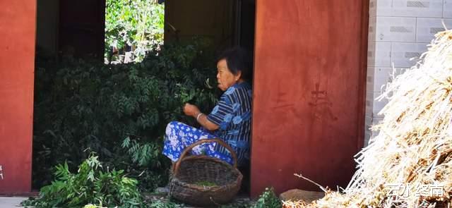 |蓝田这条当地人走的小道，只有亲自走一遭，才能搞清楚它的秘密