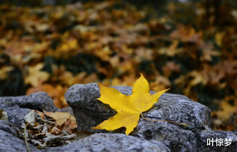 穿衣搭配|退休之后,远离这五种人,才能安享晚年