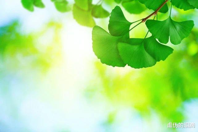 9月3日,看你的属相适合做什么