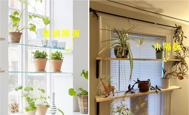 窗边也能用来种花,夏天庇荫刚刚好,家里没有院子的建议参考