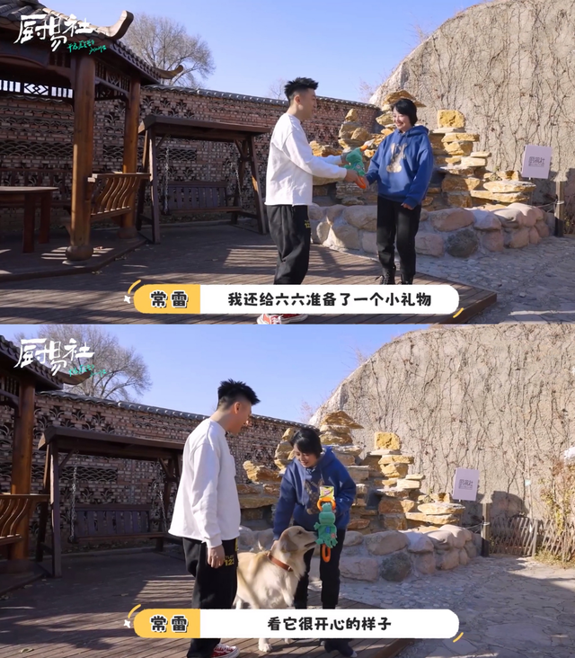 周海媚|周海媚,56岁单身独居,不婚不育有原因,猫狗双全,简单生活