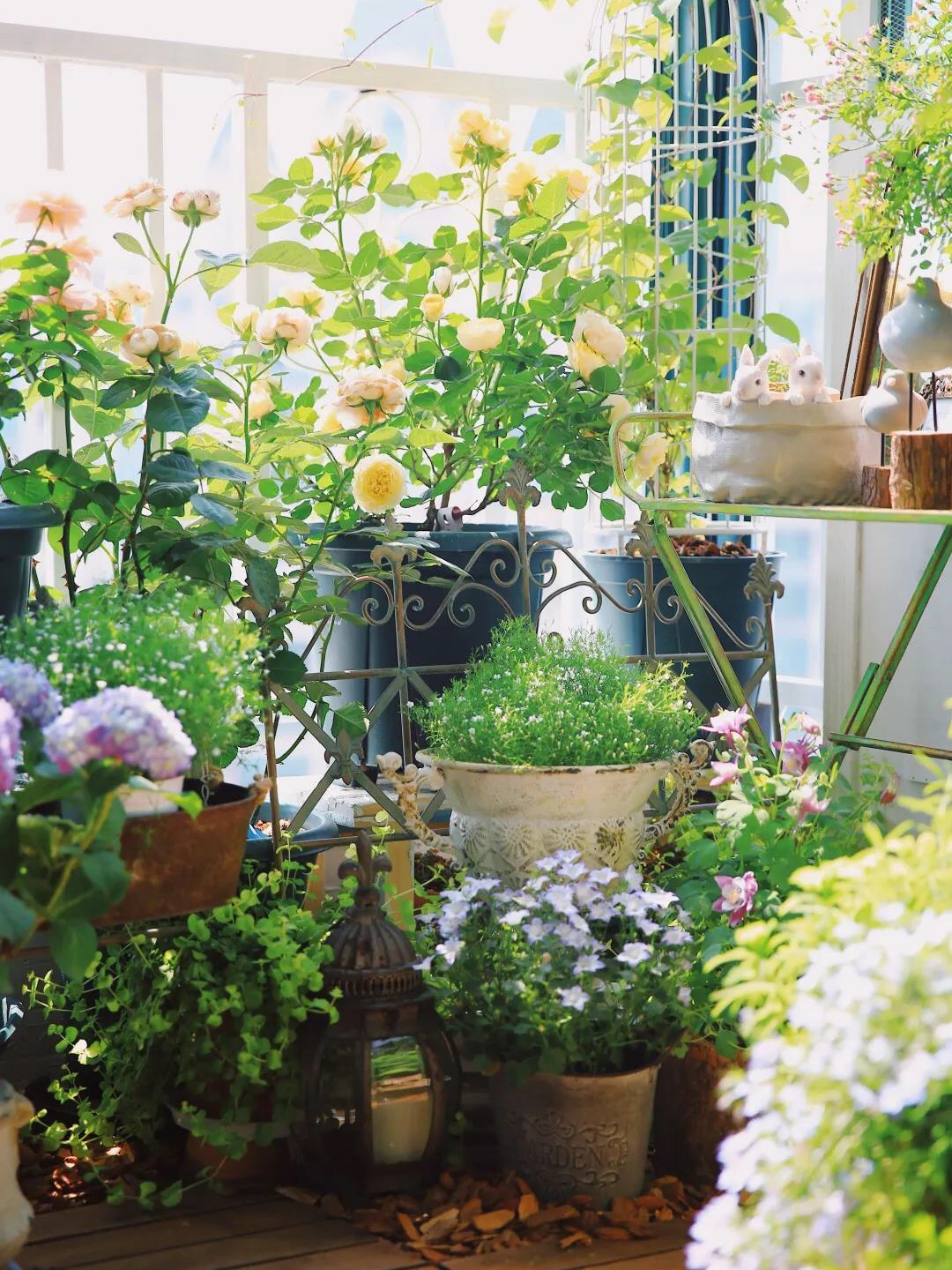 阳台造园：教你在有限的空间内，打造出错落有致的精致小花园