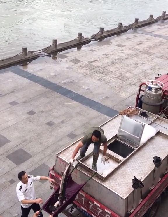 实拍合江门:成群肥硕大鱼聚集岸边,长江离鱼多成灾还有多远?