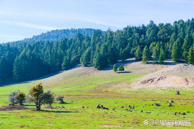 浙江省|摩洛哥美丽小城系列——伊夫兰