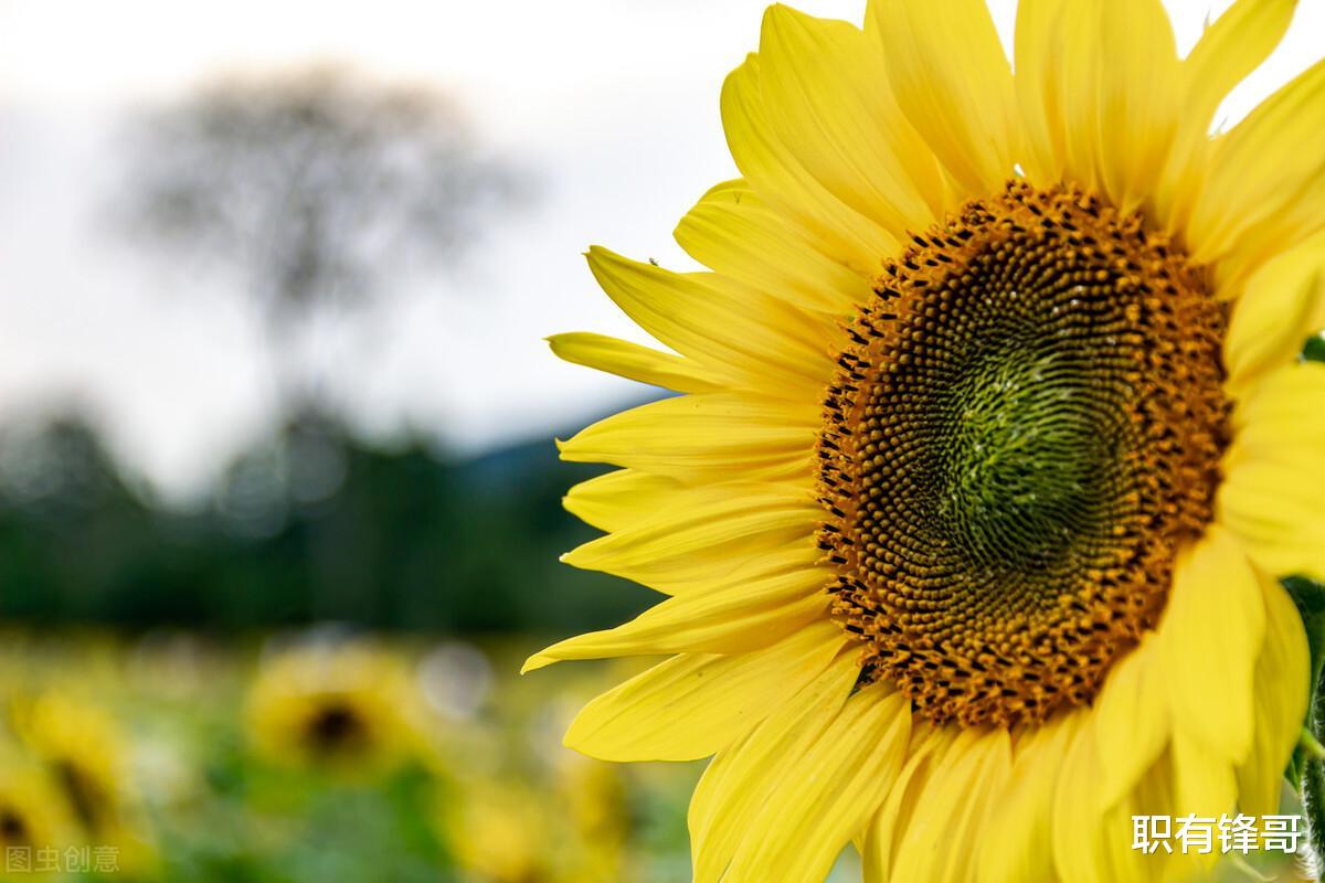 招聘|那一年，我当着高管的面，对他说“你的职业道德有问题”