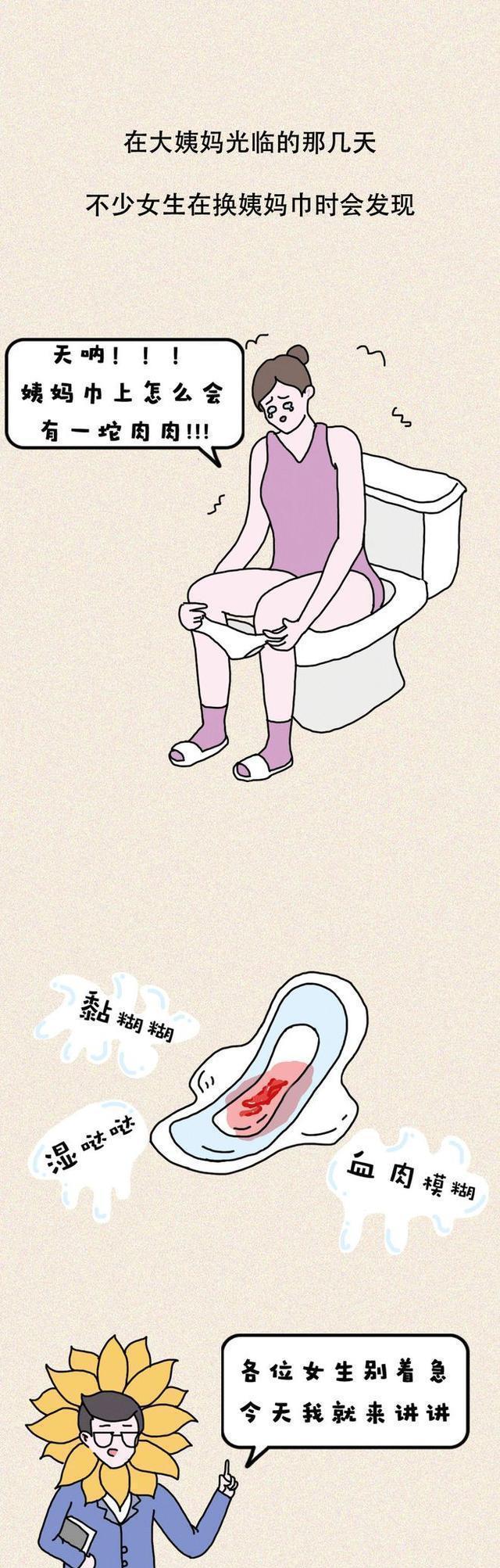 acgn漫评|换姨妈巾时，发现有个“肉坨坨”，这到底是啥？（漫画揭秘）