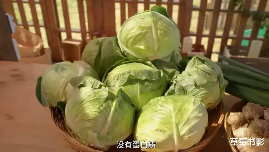 人物设定|她真值得全网夸?