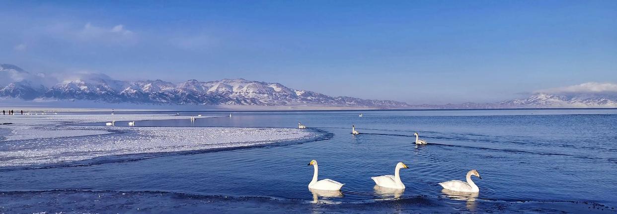 兰海高速|国内10个最美赏雪胜地：一场纷飞大雪，也许是最为触动人心的浪漫
