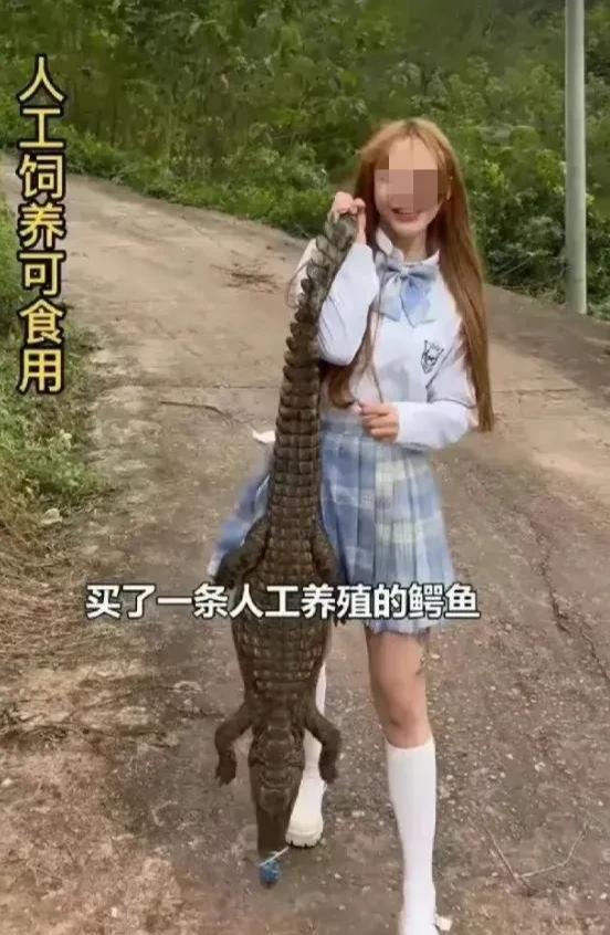 人类历史上32次圈养大白鲨,平均活不到24天,怎么可能商业化?