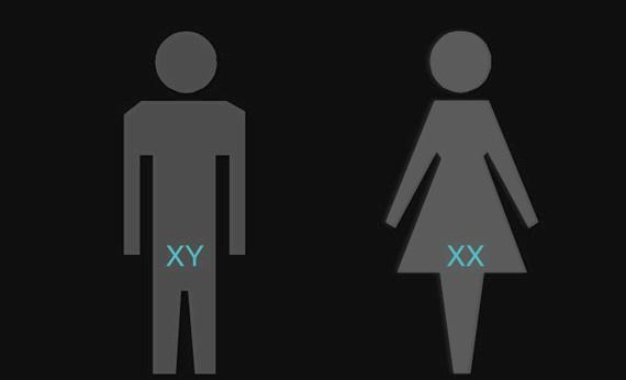 男性的染色体是XY,女性是XX,那染色体是YY的人会是什么样子?