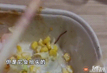 杭州,一女子点外卖,吃一半发现异物:长长的软体动物,还吐舌头
