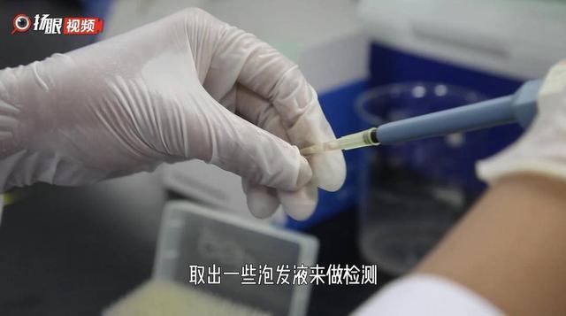 黑木耳|黑木耳泡多久会变成“毒木耳”?我们用实验告诉你