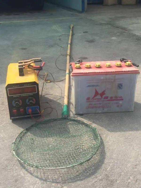 |为什么现在野钓越来越难钓了