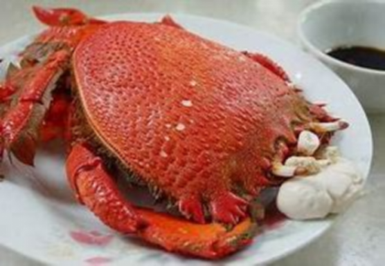它从没“天敌”,能活60年,曾经泛滥成灾,如今却成稀有物种