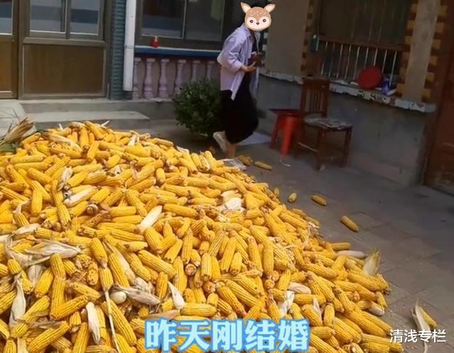 新婚第二天就要收玉米,新娘找借口一大早就出门:我不是你家长工