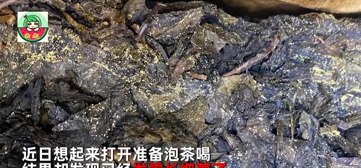 涨见识了!男子发现礼品茶发霉长菌,正欲丢弃被网友阻止:好东西