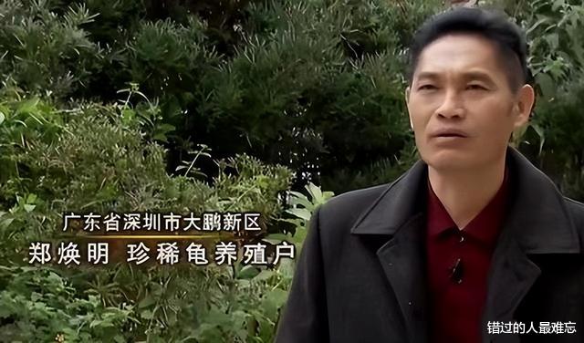 男子花百万买下三只臭龟,别人都笑他傻,谁知道四年后却靠龟翻身