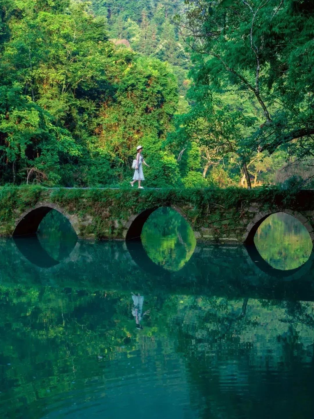 贵州|机票低至¥200,比九寨更惊艳,这座夏日23度的中国凉都,嗜酸又爱辣!