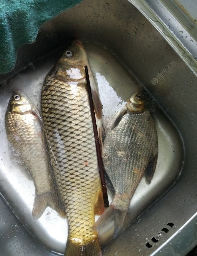 |远离以下这些钓友，让你钓鱼境界有所提升