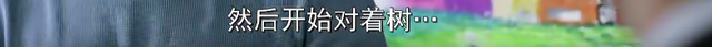 每个孩子,都有一种特立独行的天赋-《地球上的星星》