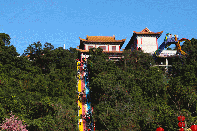 玫瑰|春节假期人气火爆，观音山成为登高许愿网红地！秘诀是…
