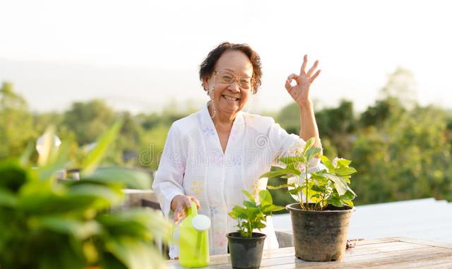 电影|56岁阿姨因女儿一番话，离家出走，独自一人全国自驾游