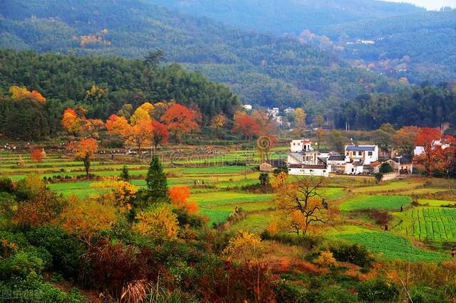 宏村|郭进拴|大美宏村入画来