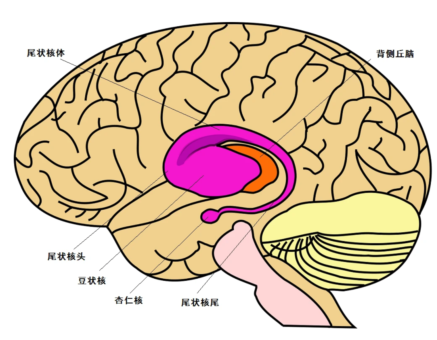 删除|马斯克:少年呦要可口可乐吗?上瘾的那种