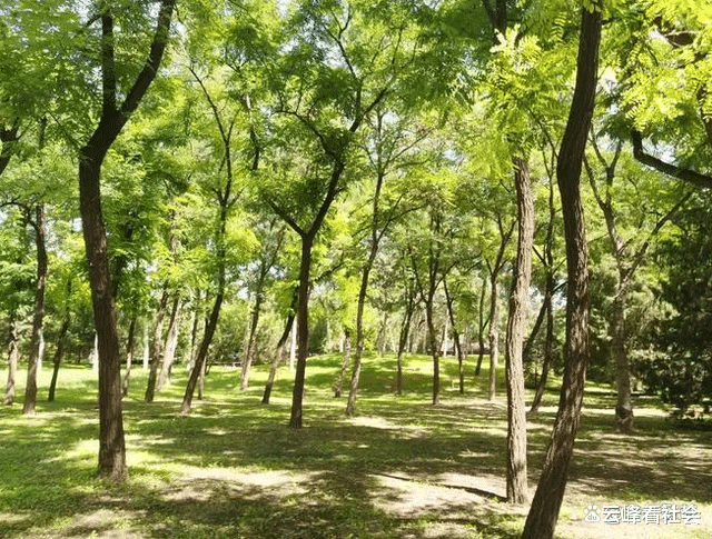 女子租房无力支付押金,房东善解人意与其发展关系,最终酿成惨案