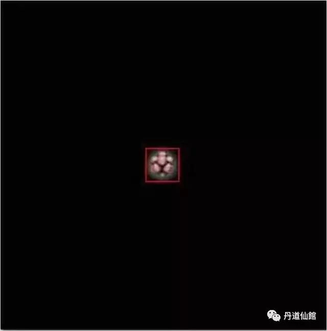 这些照片告诉你什么叫“色即是空”