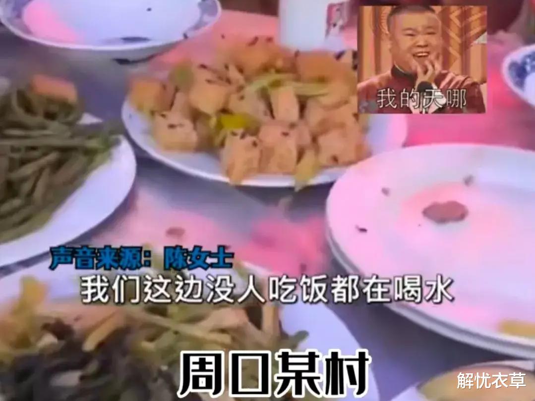 河南一女子去农村吃席,因苍蝇太多,全程不敢动筷子