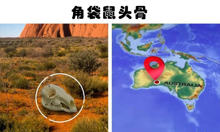 撒哈拉沙漠发现怪异的骷髅?在世界各地沙漠中获取的5个奇怪发现