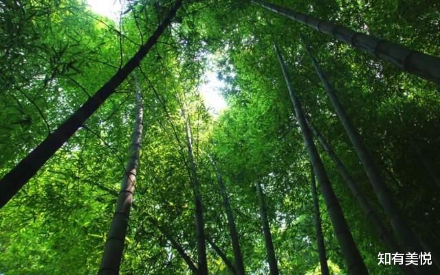 避暑胜地|夏日旅游必去的10大避暑胜地，山美水美人更美，过个25℃的夏天!