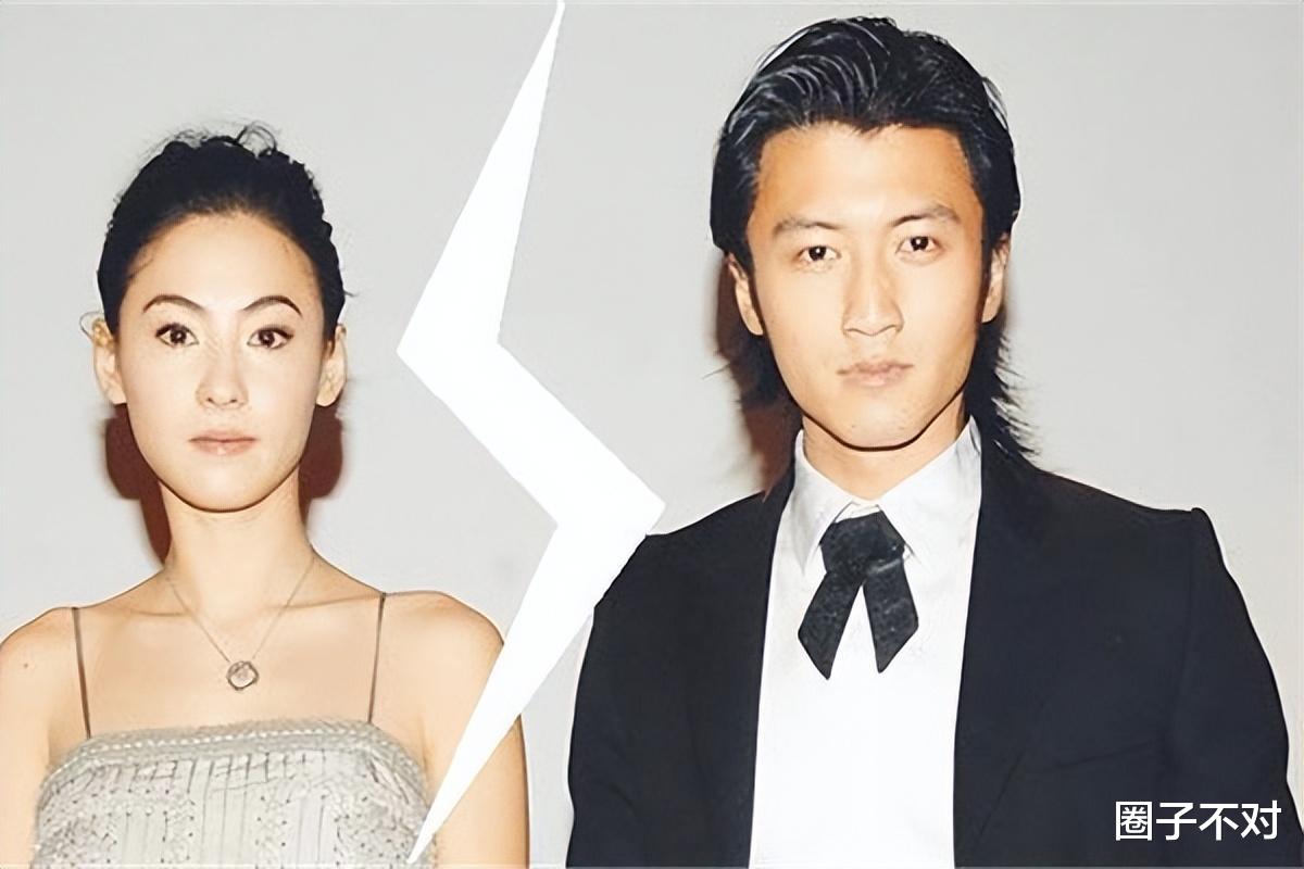 谢霆锋和张柏芝婚变的内幕，没你想的那么简单