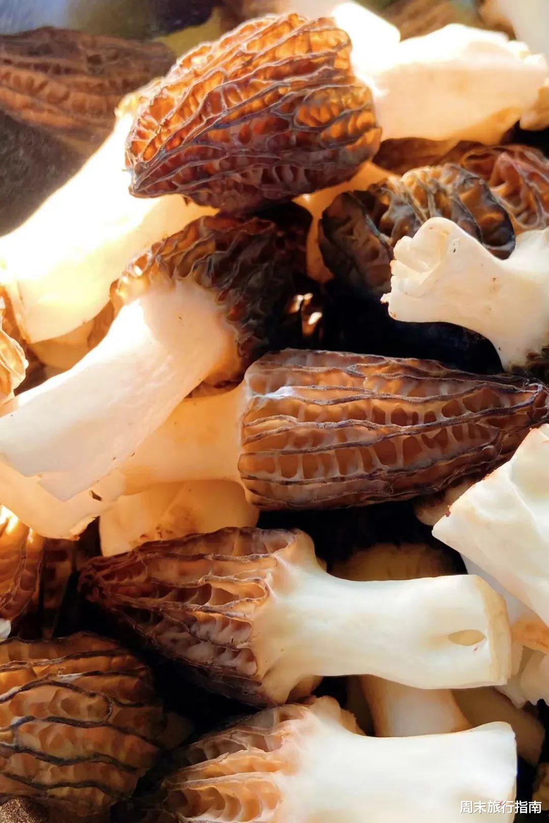 野生菌|刘亦菲新剧刷屏!均温20℃的神仙取景地,私藏“全国最毒”美味,吃过就上头!