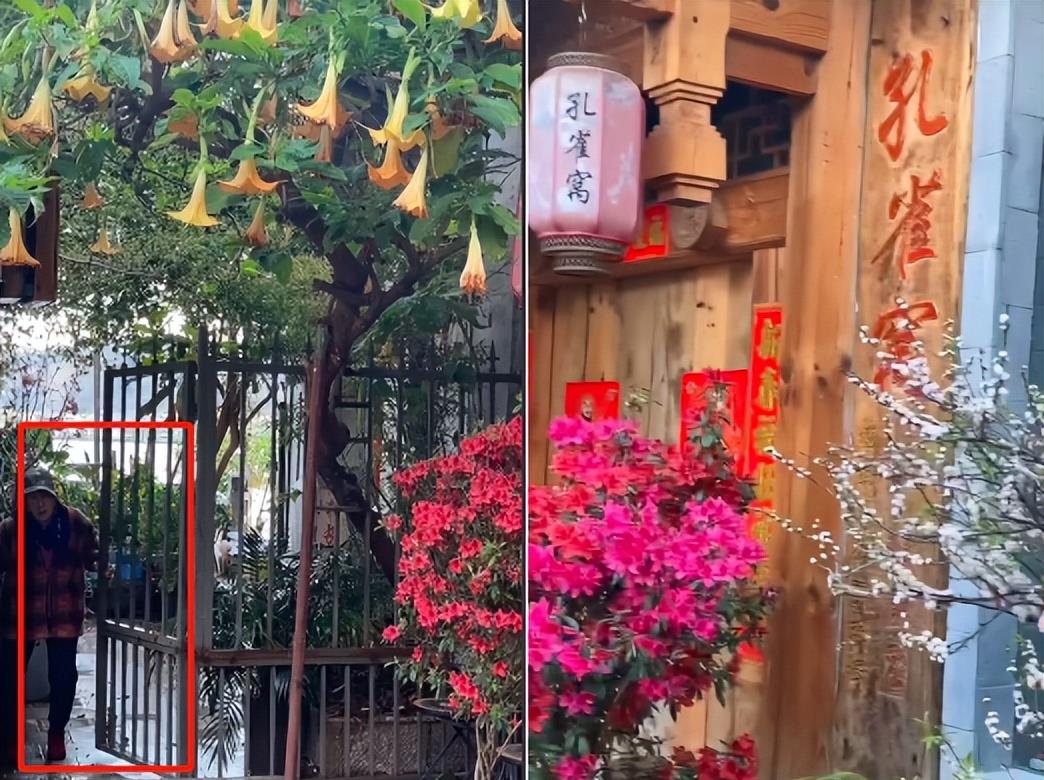 杨丽萍|63岁杨丽萍湖边吃饭！与母亲共喝一碗汤，6个菜碟摆满一桌太丰盛