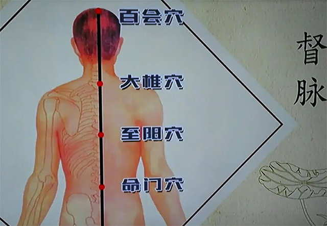 牛奶|身体太胖,可以看看一个地方,如果有一种变化,及时疏通一下