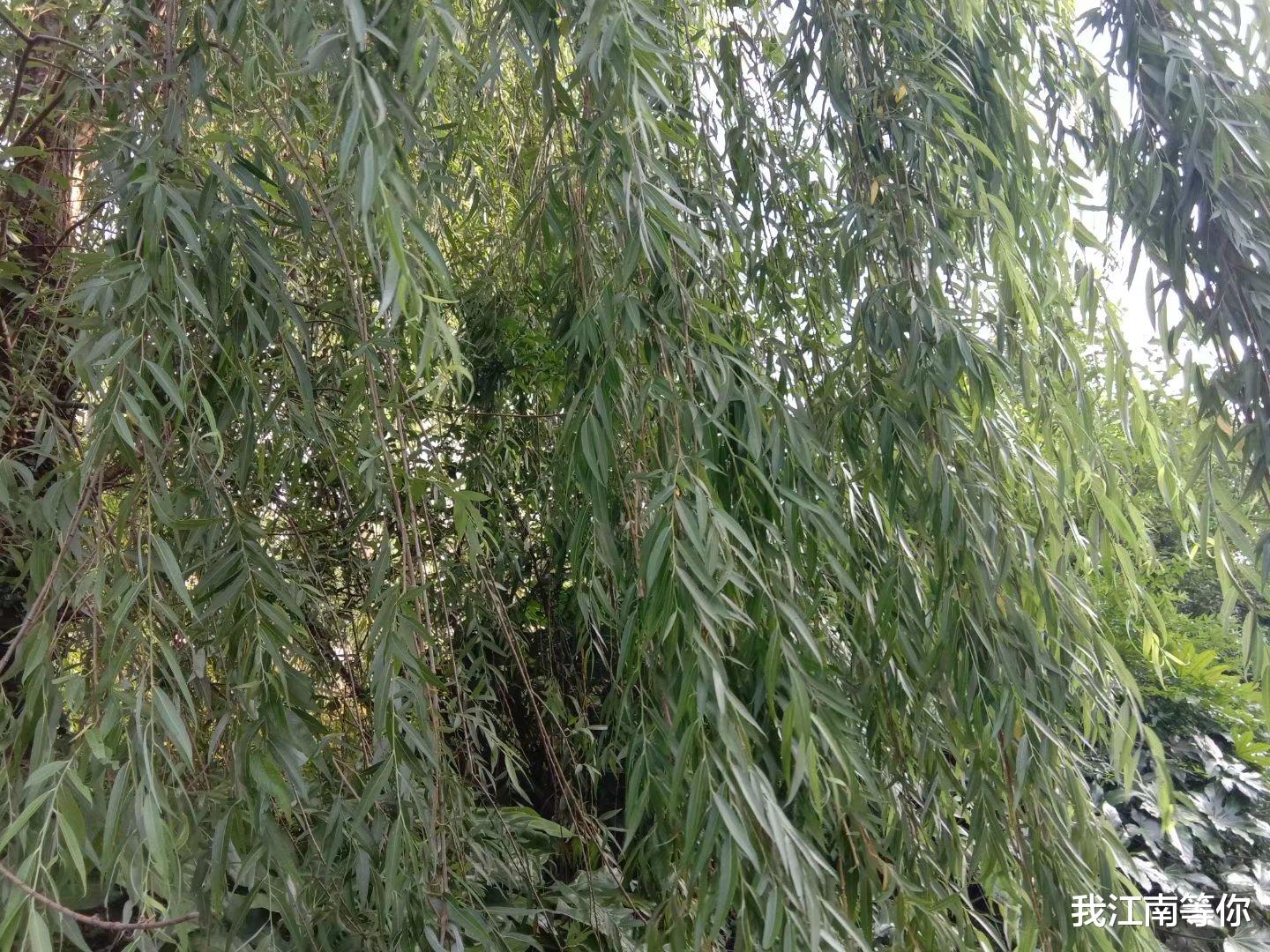 妙龄女子失踪三个月后,回到了村里,变得风流成性