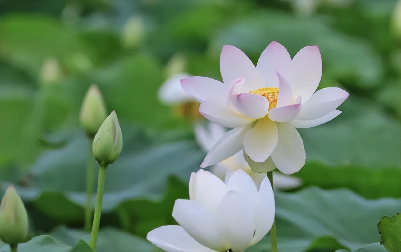 晏子|职场上，一个人走向衰败时，会出现以下三个特质