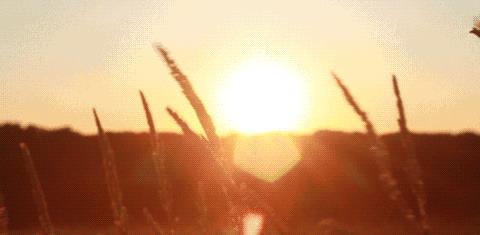 如果太阳熄灭了,人类要多长时间才能感知到?8分钟?可能要1万年