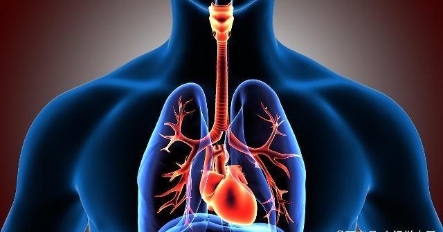 心脏|肺好的人,憋气时间可以超过这个数,不妨提前看你到达标准了吗