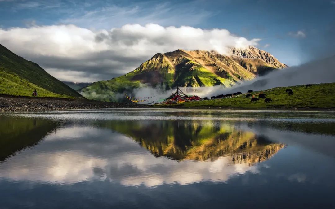 香港|草原季即将开启,如何选择最适合你的草原?