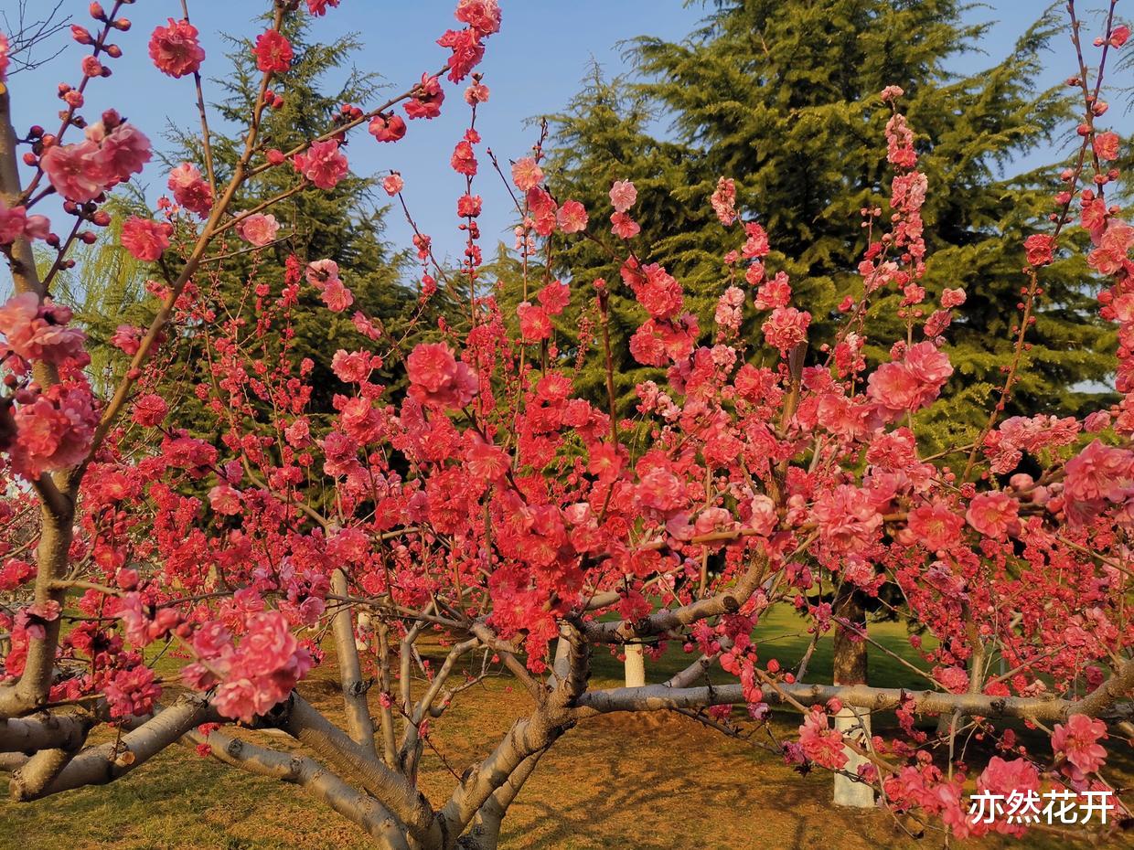 高校|写作能力是职场人士的核心竞争力