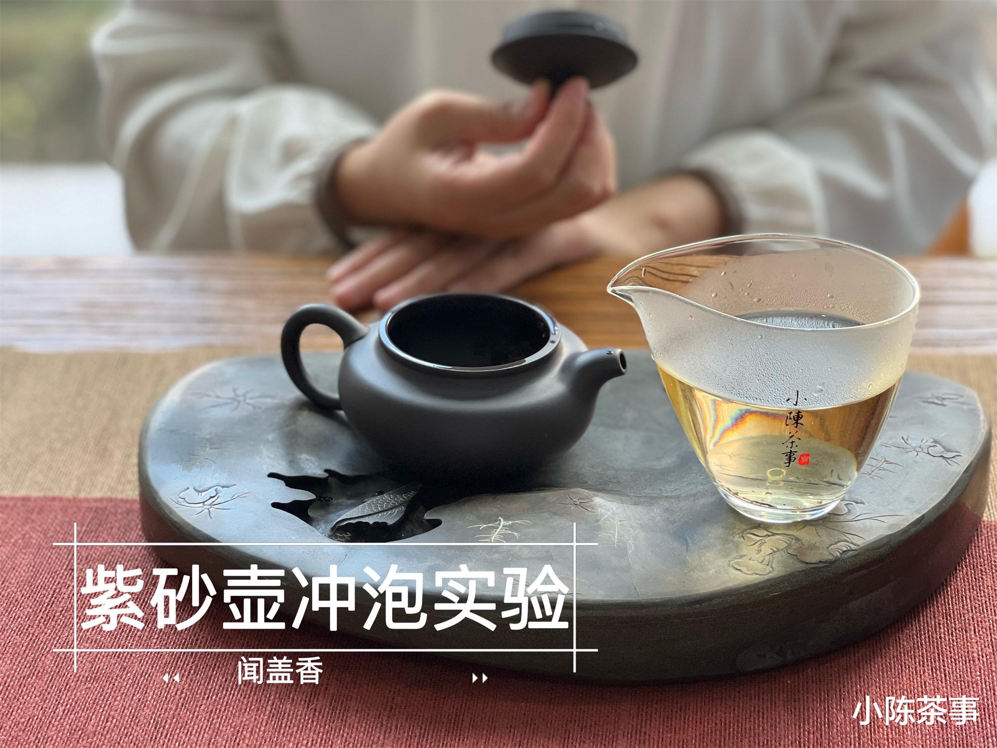 古钱币|紫砂壶 VS 盖碗,谁更适合冲泡老白茶?实际测评之后,有答案了