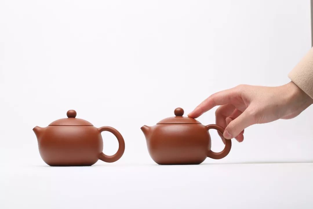 |紫砂壶养花了,怎么补救?