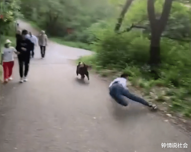 辽宁一男子跟朋友说能跑过狗,结果打脸了,网友:两驱跑不过四驱