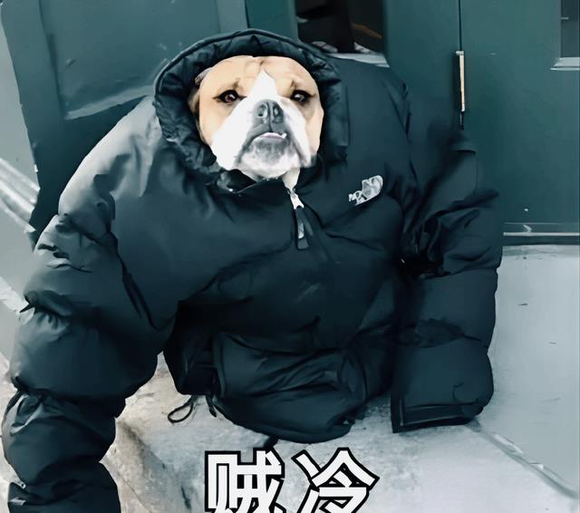 消费降级|“我不舍得点超过30元的外卖”：这届九零后，开始消费降级