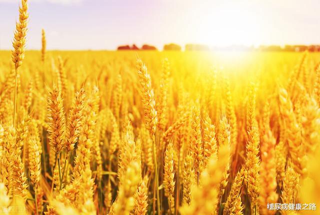 糖尿病|秋天怎么控制糖尿病?记住慢、润、动、暖、乐、素六个字